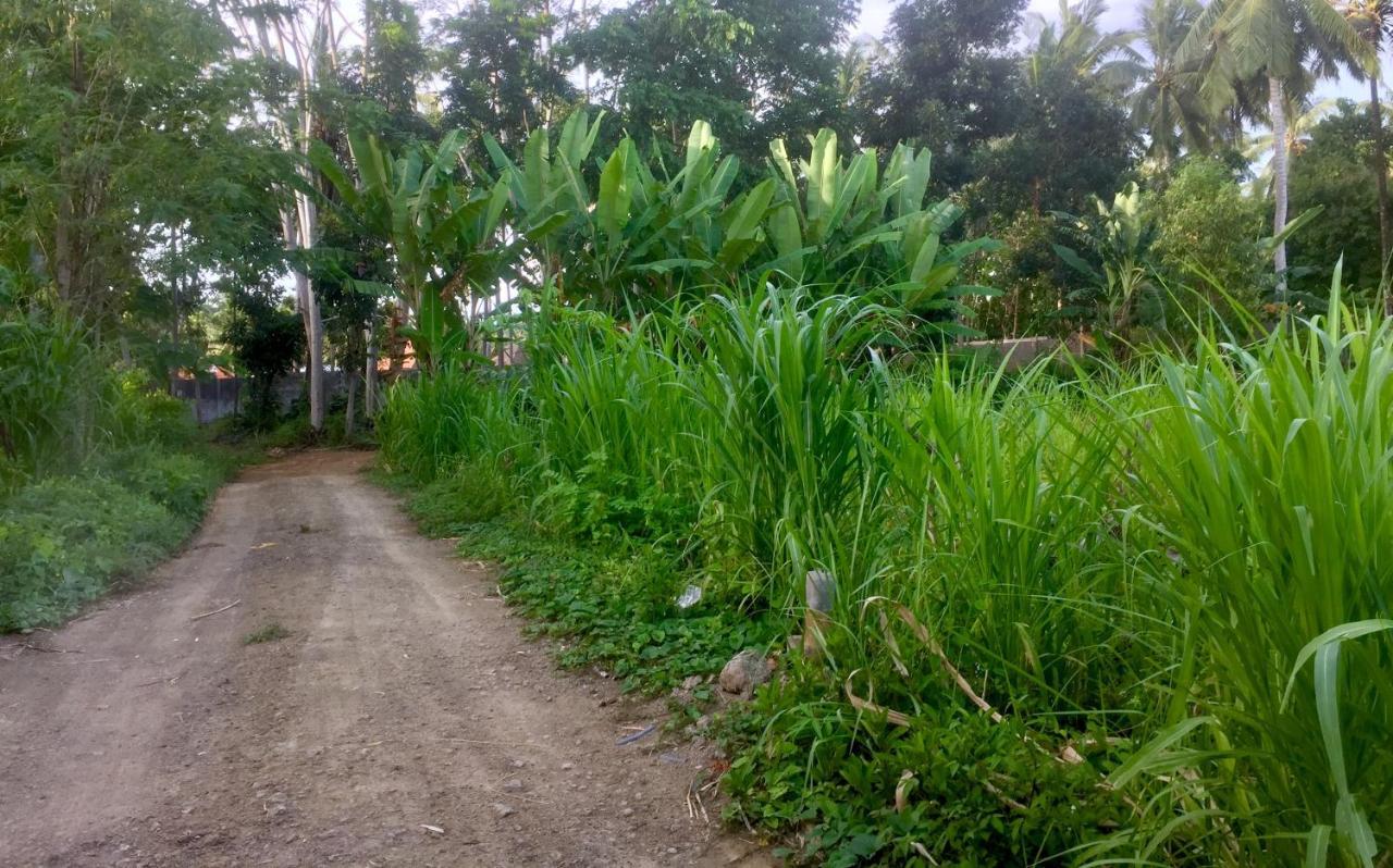 Chemel Homestay Kuta  Luaran gambar